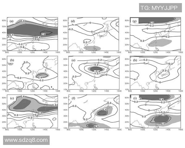 柴卡塞瓦对决分析与比赛预测探讨精彩瞬间回顾